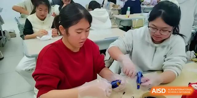 A student focuses on a practical classroom activity involving small tools and materials at The Guandu Experimental School Affiliated To Shanghai Normal University.