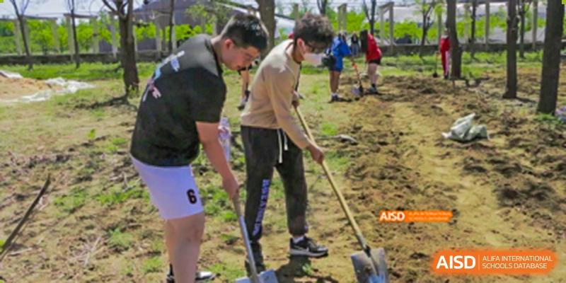 Canadian International School of Beijing students participating in an outdoor service project, digging in a field with shovels.