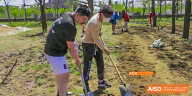 Canadian International School of Beijing students participating in an outdoor service project, digging in a field with shovels.