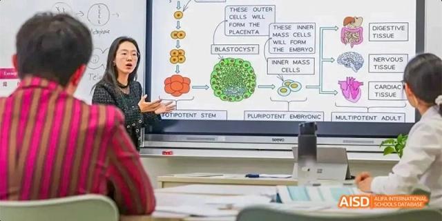 A teacher at Fettes College Guangzhou pointing to a digital display showing diagrams of cellular biology and stem cells during a science lecture.