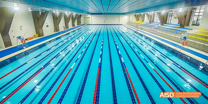 An alternate view of the large, clean indoor swimming pool at Fettes College Guangzhou, showing the depth and clarity of the water lanes.