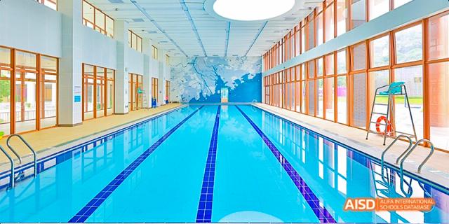 The indoor swimming pool at Fettes College Guangzhou, featuring bright blue lanes, wooden accents, and a large mural of a snowy tree.