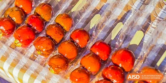 A close-up of shiny candied fruit or preserved snacks often served at Guangzhou Huamei International School.