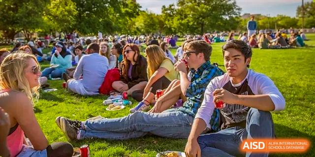 Qingdao MINGDE School students and faculty relaxing on the grass during an outdoor event.