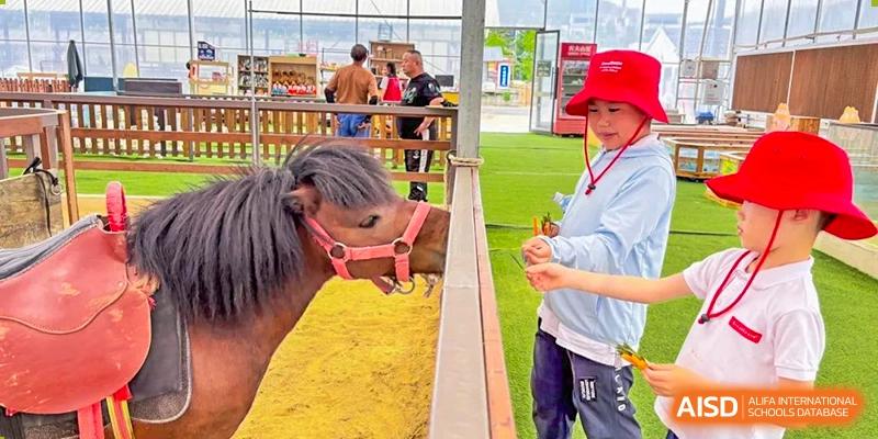 A student from EtonHouse International School Nanjing petting a small pony.