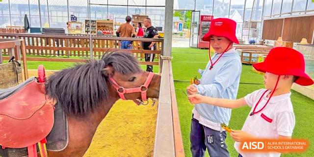 A student from EtonHouse International School Nanjing petting a small pony.