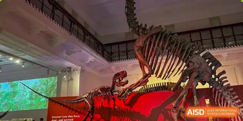 A large dinosaur skeleton on display, representing a museum visit or science activity for students of Wuxi Guanghua School.