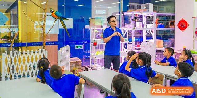 Students working on a project with blue benches in the background at Beijing Mingcheng Academy.