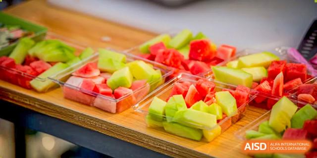 A plate of colorful, cubed gelatin or jelly desserts at Beijing Mingcheng Academy.