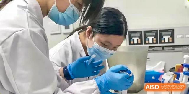 A student at Shanghai International High School of BANZ wearing a face mask and gloves carefully handles a specimen in a lab.