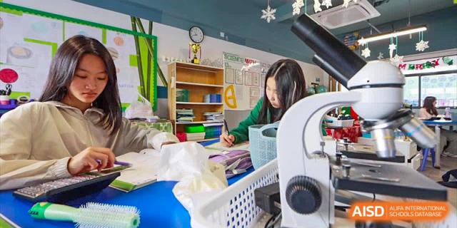 A young student focused on a science activity or project using small tools in the classroom at QSI International School of Dongguan.