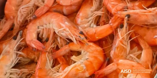 A close-up shot of a pile of cooked, bright orange shrimp or prawns. Beijing No.4 High School International Courses Jialian Campus.