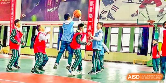 Students playing basketball indoors in a gymnasium during a sports or physical education class at Maple Leaf International School Chongqing.