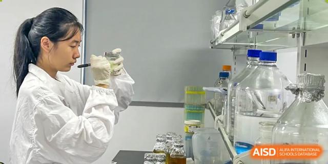 A close-up of chemicals and glassware set up for a science experiment in a laboratory at Wuxi Big Bridge Academy.