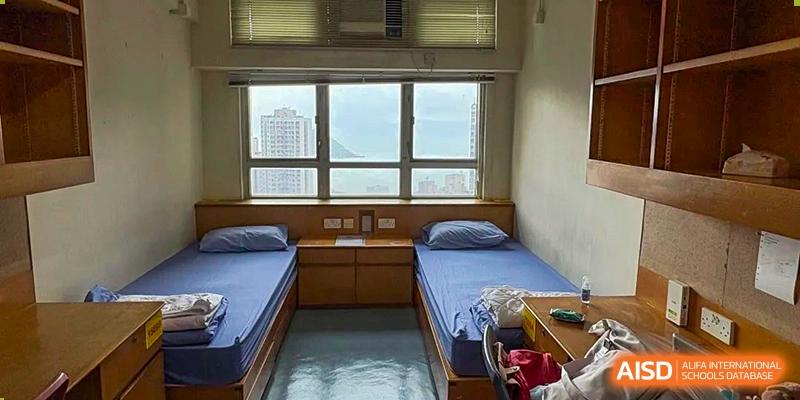 A clean, bright dormitory room at Maple Glory Education with two beds, wooden cabinets, and a window view.