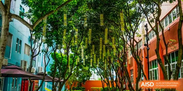 Tall, lush green trees with hanging decorative lights provide a serene and natural atmosphere on the campus at Shenzhen Academy of International Education.