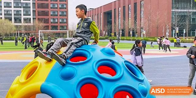 A young boy sits on top of a large blue spherical climbing structure while other children play on the modern outdoor playground equipment at Beijing Chaoyang KaiWen Academy.