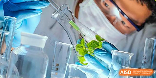 A student wearing protective gloves and a face mask uses a glass dropper to conduct a precise experiment in a high-tech chemistry laboratory at Beijing Chaoyang KaiWen Academy.