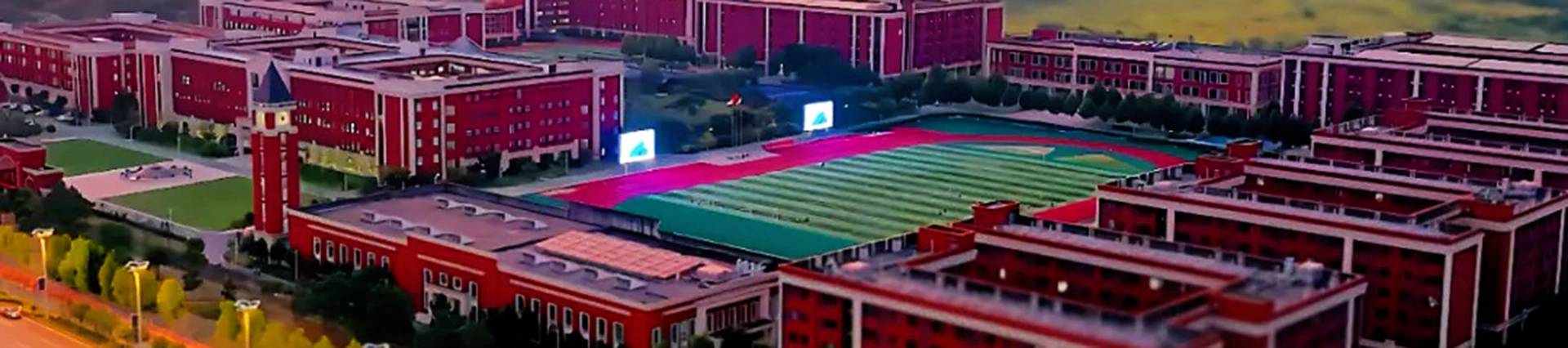Wuhan Guanggu Future School banner