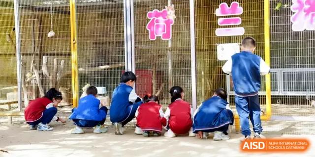 Five students in red and blue uniforms sit in a row on the ground during an outdoor lesson at Beijing Haidian Foreign Language Shi Yan School Hainan Campus.