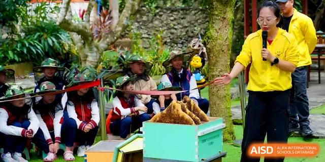 Students participate in a nature-themed outdoor activity featuring plants and natural materials at Beijing Haidian Foreign Language Shi Yan School Hainan Campus.